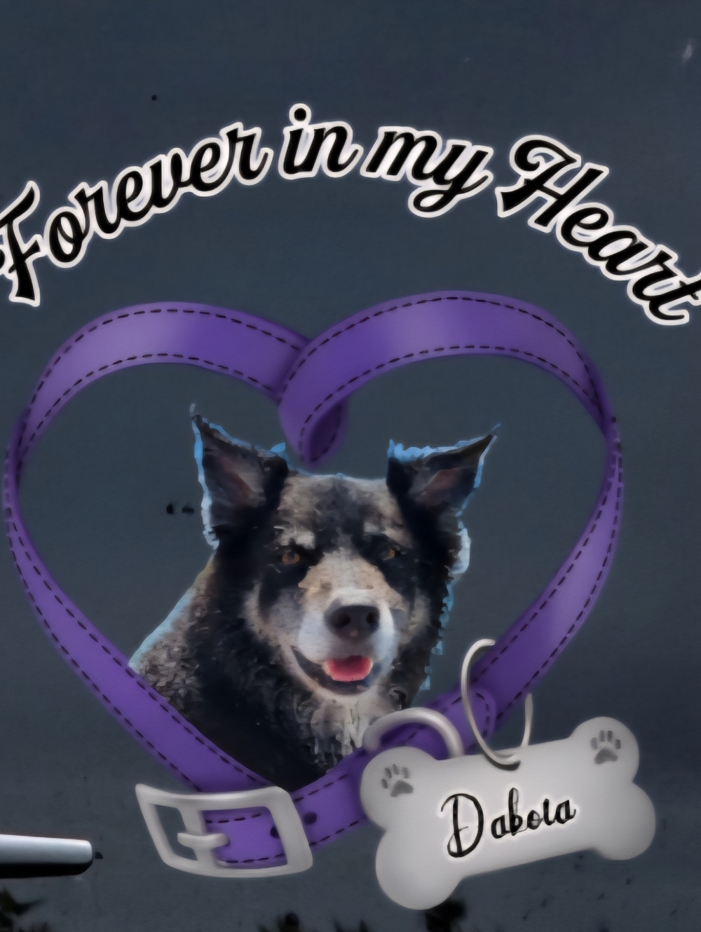 Like This Flyer To Be Notified Of My Next Show - Picture 6 of 6